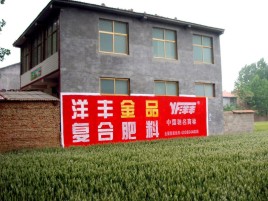 涪陵如何让墙体广告展现最大化效果